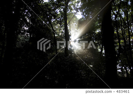 水面 光線 光束 483461