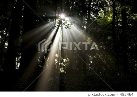 水面 光線 光束 483464