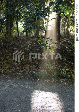 光線 光束 日光 483468