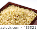 Brown rice 483521