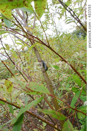 北海道上野町的Himeoka okuwagata 483593