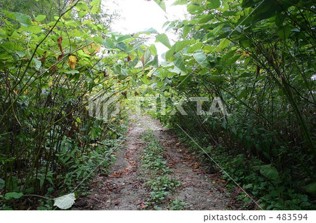 Happodaira路 Happodaira路 483594