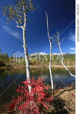 Norikura Kogen高湖池塘 483835