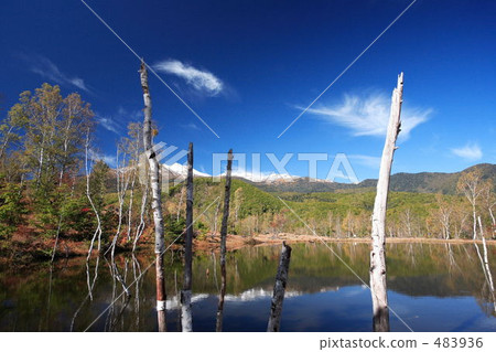 Norikura Kogen高湖池塘 483936