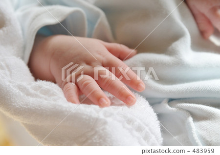 Baby's palm Baby's palm 483959