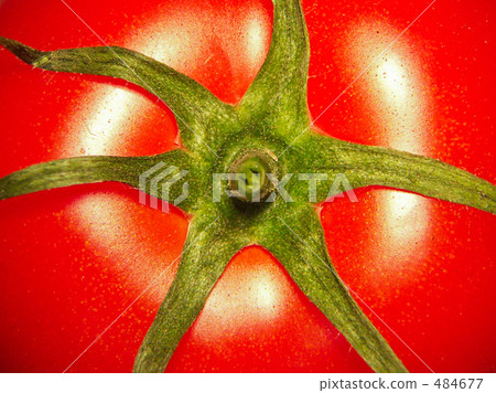 從番茄頂部 從番茄頂部 484677