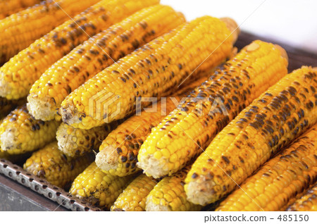 烤玉米的攤位 烤玉米的攤位 485150