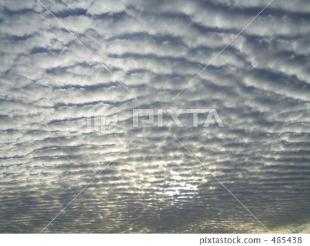 Scaly cloud 2 Scaly cloud 2 485438