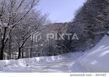 Snowy road and winter trees 485495