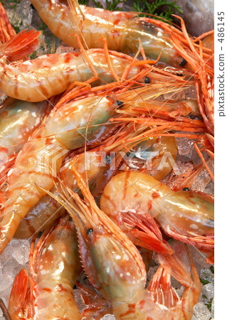 Button shrimp 486145