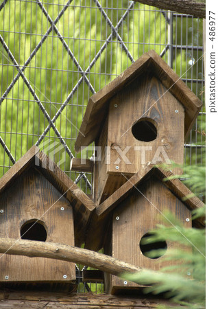 鳥的巢箱 鳥的巢箱 486977