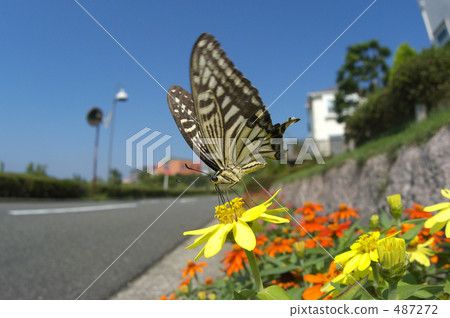 住宅小區 住宅小區 487272