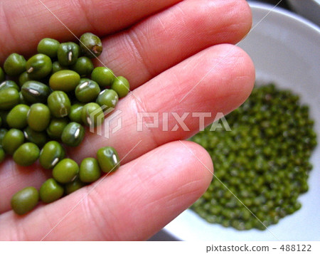 Mung bean 488122