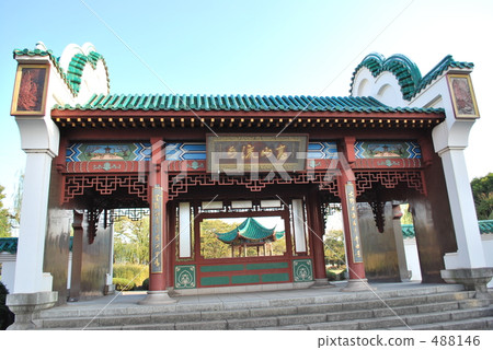 大分市民和平公園武漢森林 488146