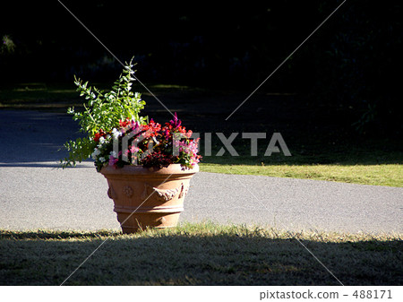 在早晨的陽光下的播種機 488171