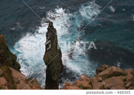 Rock of wild birds in the Tempe Island 488305