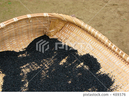 黑芝麻幹 黑芝麻幹 489376