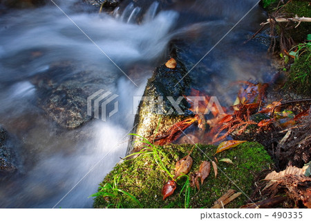 Fall of a mountain stream Fall of a mountain stream 490335