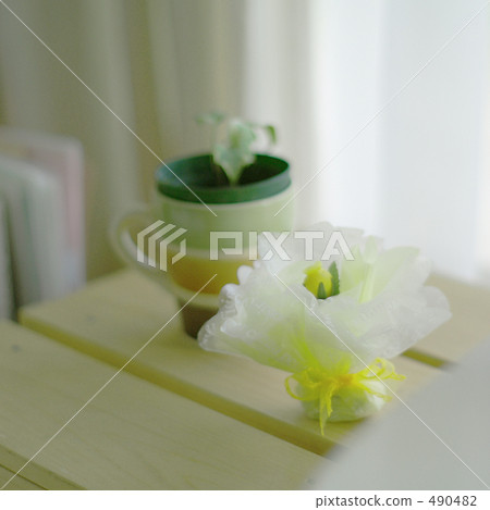 sundries, foliage plant, dragee 490482