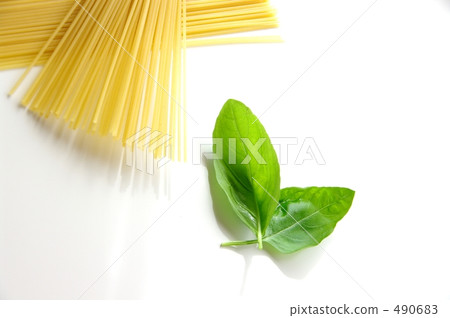 Basil leaves and pasta 490683