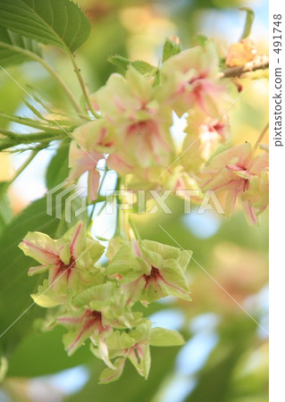 讓我們去木橋 491748