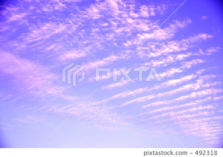 紫色的天空我 紫色的天空我 492318