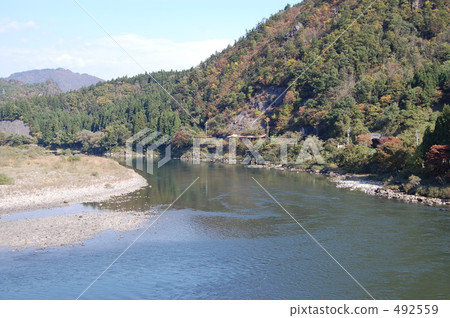 阿賀野河 藍天 楓樹 492559