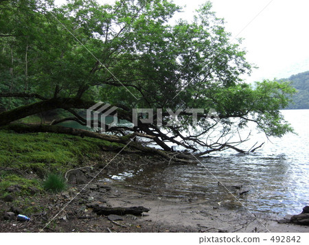 湖泊 湖 海灣 492842