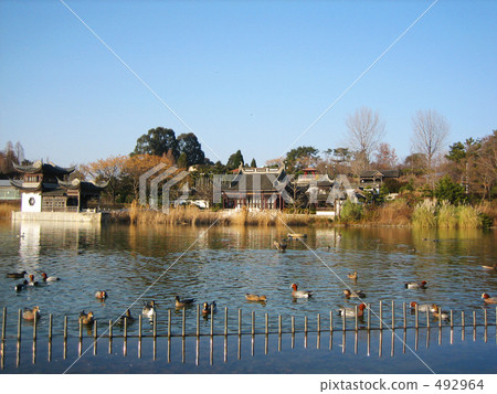 Tsurumi Green Park in winter 492964