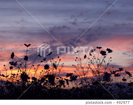 Goodbye, autumn day Ⅱ Goodbye, autumn day Ⅱ 492977