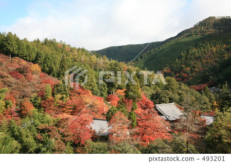 The mountains of coloring Kaohsiung The mountains of coloring Kaohsiung 493201