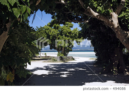 Condoi Beach Condoi Beach 494086