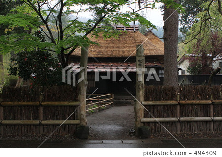 新鮮的綠色角館 494309