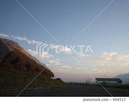 road, path, route 494517
