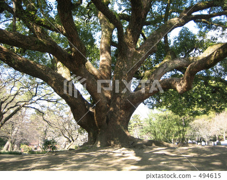 Kyoto Imperial Palace Kyoto Imperial Palace 494615