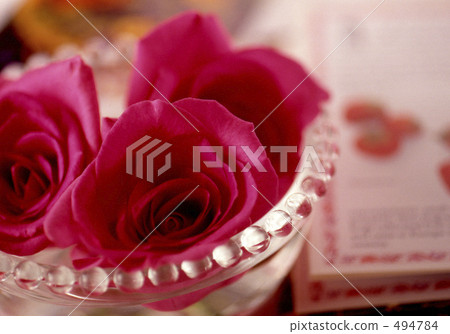 Pink roses decorated on the desk 494784