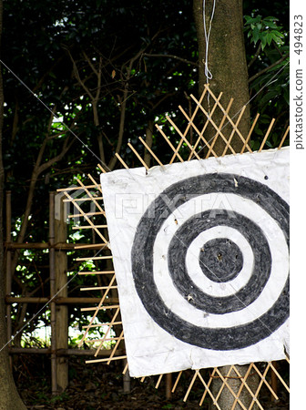 Target 494823