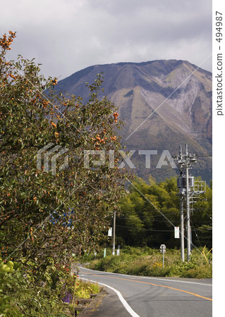 柿子水果Koraku高速公路 494987