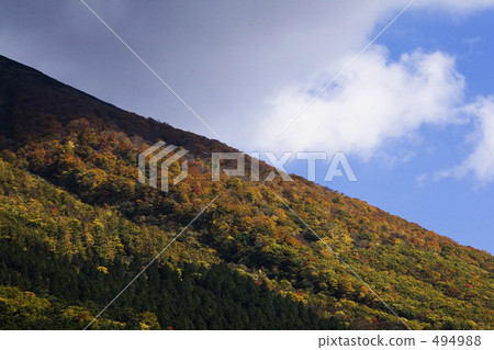 在Oyama Masuzumi Kogen的秋葉 494988