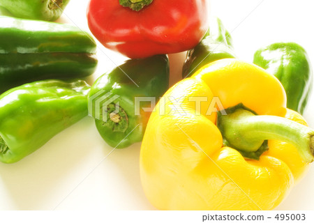 紅黃綠 紅黃綠 495003