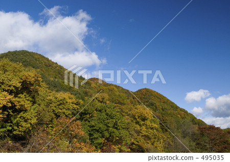 在Katashina谷的秋葉 在Katashina谷的秋葉 495035