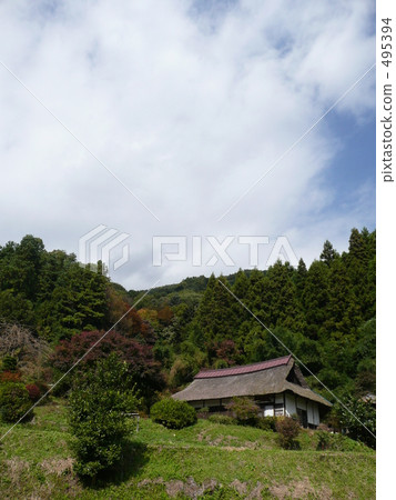 山村·狗眼 495394