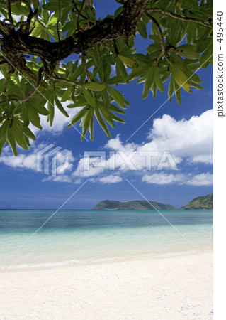 Beach secret beach 495440