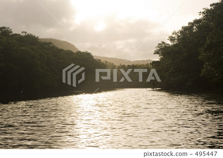 皮划艇紅樹林 495447