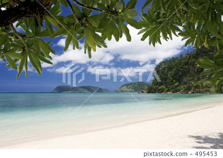 海灘秘密海灘 495453