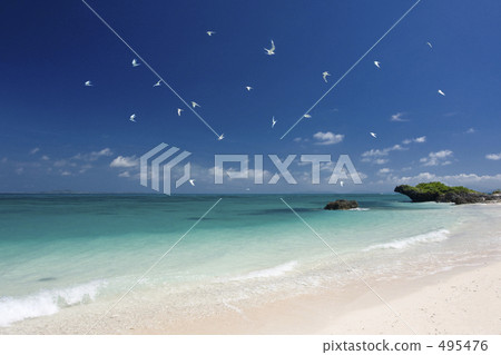 西邊的海灘 495476