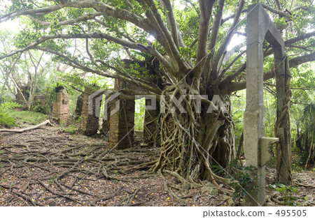 Utama Rice Coal Mine Site 495505