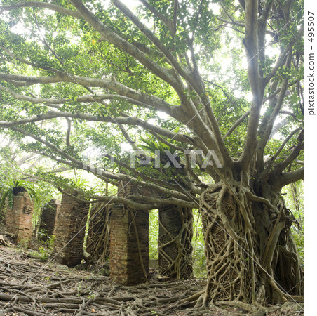 Utama Rice Coal Mine Site Utama Rice Coal Mine Site 495507