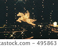 Winter Illumination 495863