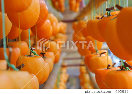 Anpo persimmon 4 495935